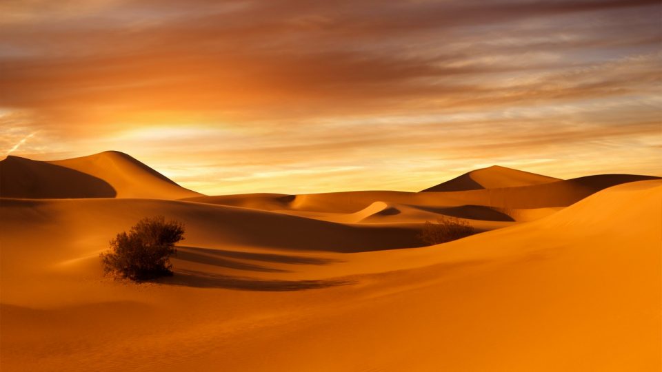 Sahara
